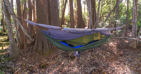 My Original Hammock