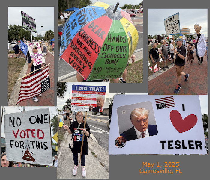 Protest Collage Protest Collage