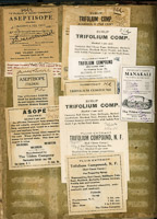 1028 Patent Medicine Labels Tilden Company 