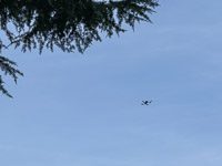 No Kings 011 California 2025 Protest 