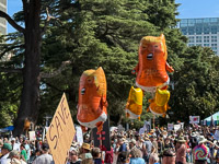 No Kings 016 California 2025 Protest 