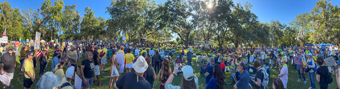 Large Crowd Large Crowd