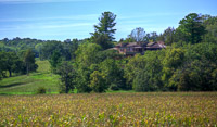 0019 Hdr Taliesin 2012 