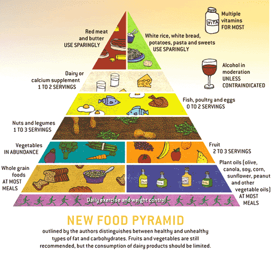 A Better Pyramid 2003 A Better Pyramid 2003
