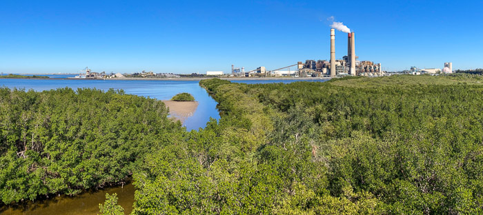 TECO Power Plant & Preserve
