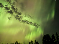 0005 Aurora Brimson September 2025 