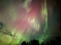 0012 Aurora Brimson September 2025 