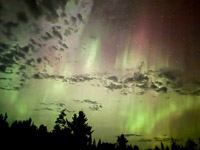 0013 Aurora Brimson September 2025 