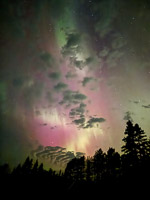 0019 Aurora Brimson September 2025 