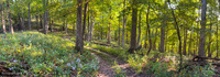 Panorama 834 Guttenberg 2025 Panorama Pikes Peak Iowa 