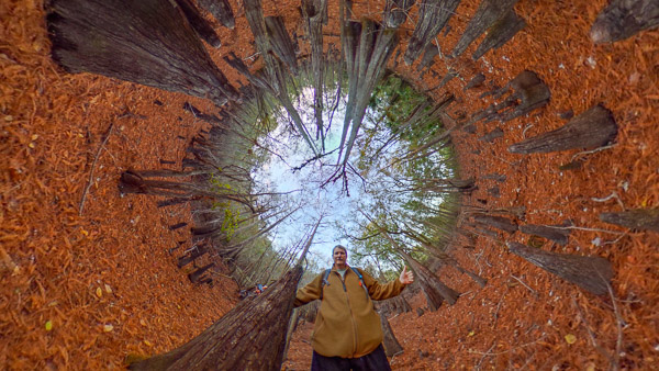Wormhole Wormhole