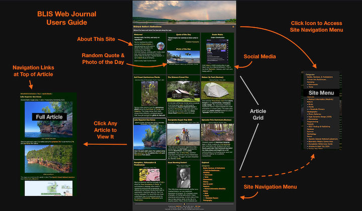Basic Layout