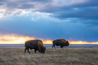 0005 Badlands National Park 2018 