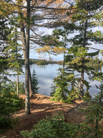 0016 Bwca 2019 