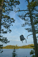 0077 Bwca 2019 Ts4 Bear Rope