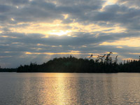 039 Bwca 2022 