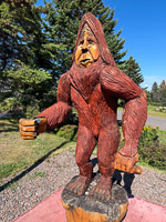 0001 Bwca 2025 