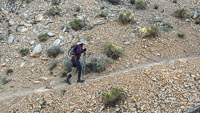 0059 Bristlecone Pine Forest California 2025 People 