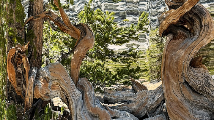 Slit Scan Abstraction Slit Scan Abstraction