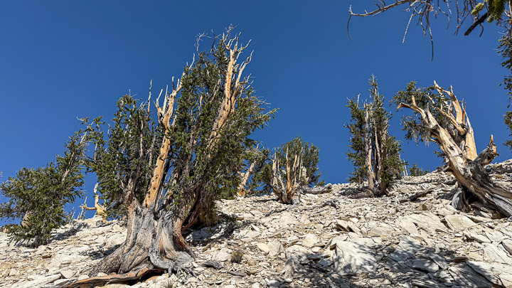 Uphill Panorama Uphill Panorama