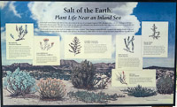 Mono Lake 2025009 California 2025 Mono Lake Signs 