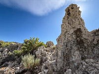 Mono Lake 2025011 California 2025 Mono Lake 