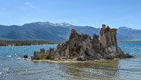 Mono Lake 2025012 California 2025 Mono Lake 