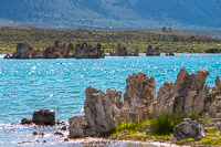 Mono Lake 2025018 California 2025 Mono Lake 