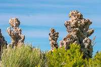 Mono Lake 2025019 California 2025 Mono Lake 