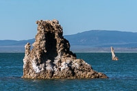 Mono Lake 2025032 California 2025 Mono Lake 