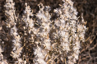 The Maze 2019100 The Maze Utah 2019 