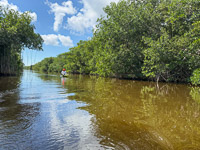 1008 Everglades 2025 Buttonwood Canal