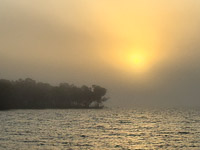 0024 Everglades 2026 Foggy Morning