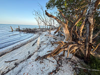 0038 Everglades 2026 