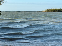 0056 Everglades 2026 