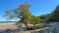 0063 Everglades 2026 