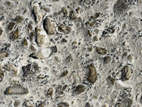 0071a Everglades 2026 