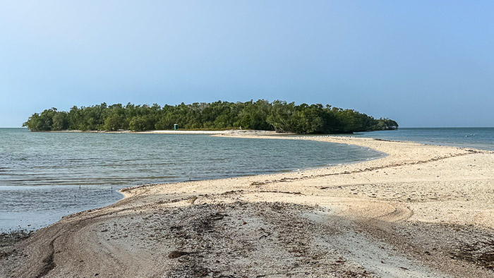 Rabbit Key in the Morning