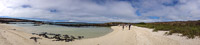 0038 Galapagos Panorama Panorama