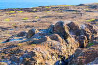 0116 Galapagos Hdr High Dynamic Range