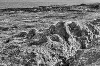 0118 Galapagos Hdr High Dynamic Range