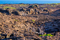 0143 Galapagos Hdr High Dynamic Range