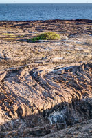 0145 Galapagos Hdr High Dynamic Range
