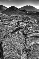 0326 Galapagos Hdr High Dynamic Range