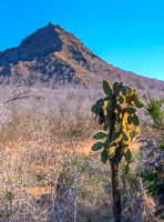 0471 Galapagos Hdr High Dynamic Range