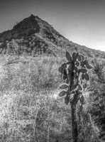 0472 Galapagos Hdr High Dynamic Range