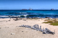 0567 Galapagos Hdr High Dynamic Range