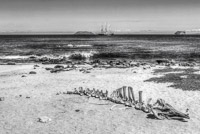 0568 Galapagos Hdr High Dynamic Range