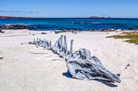 0569 Galapagos Hdr High Dynamic Range