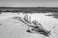 0571 Galapagos Hdr High Dynamic Range